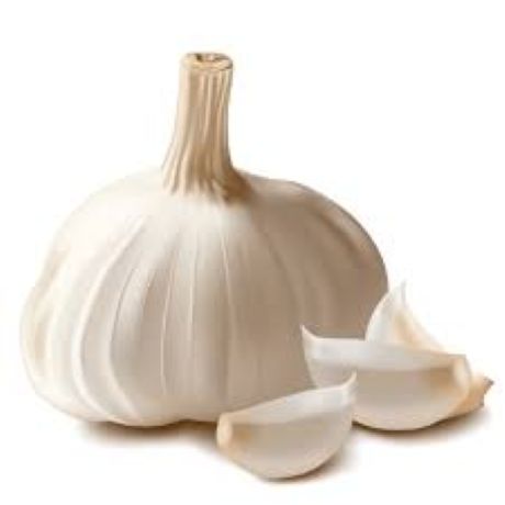Sarımsak Taze