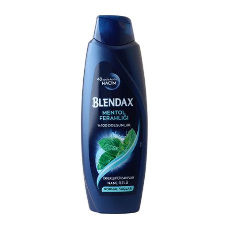 Blendax Sampuan Erkek Menthol 2'1 500ml