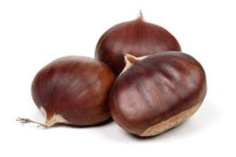 Kestane