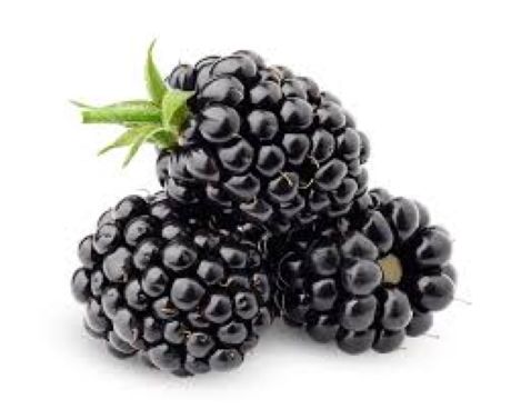 Blackberry